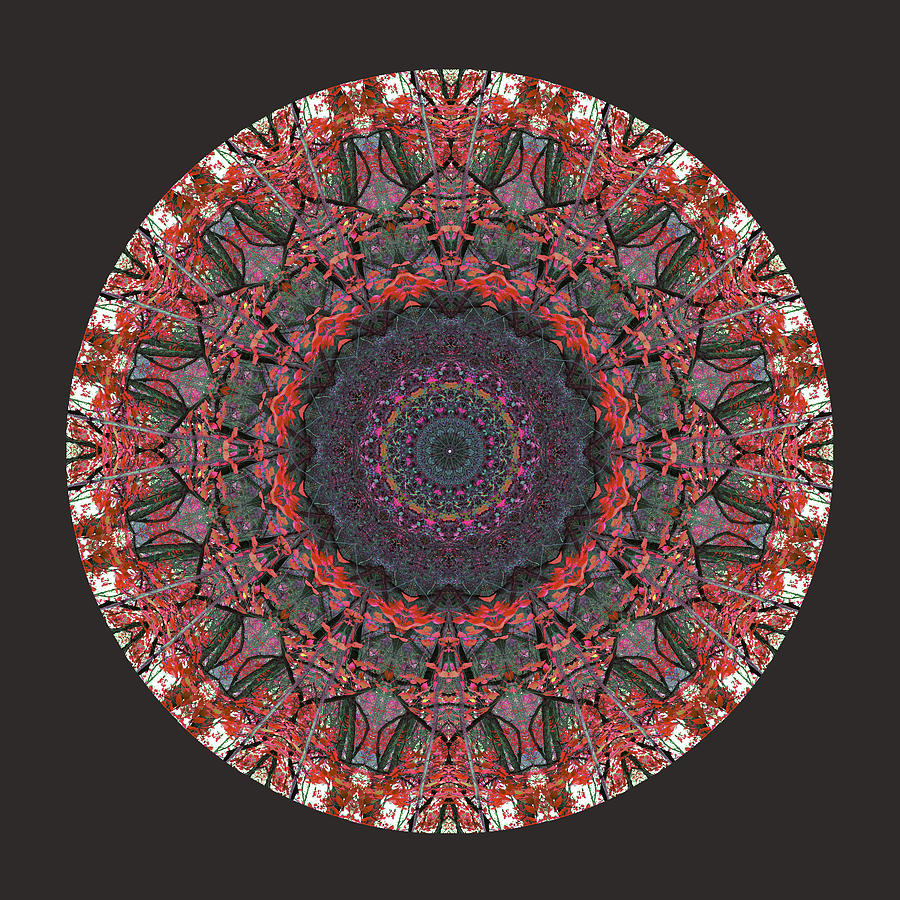 Cross Stitched Mandala Digital Art