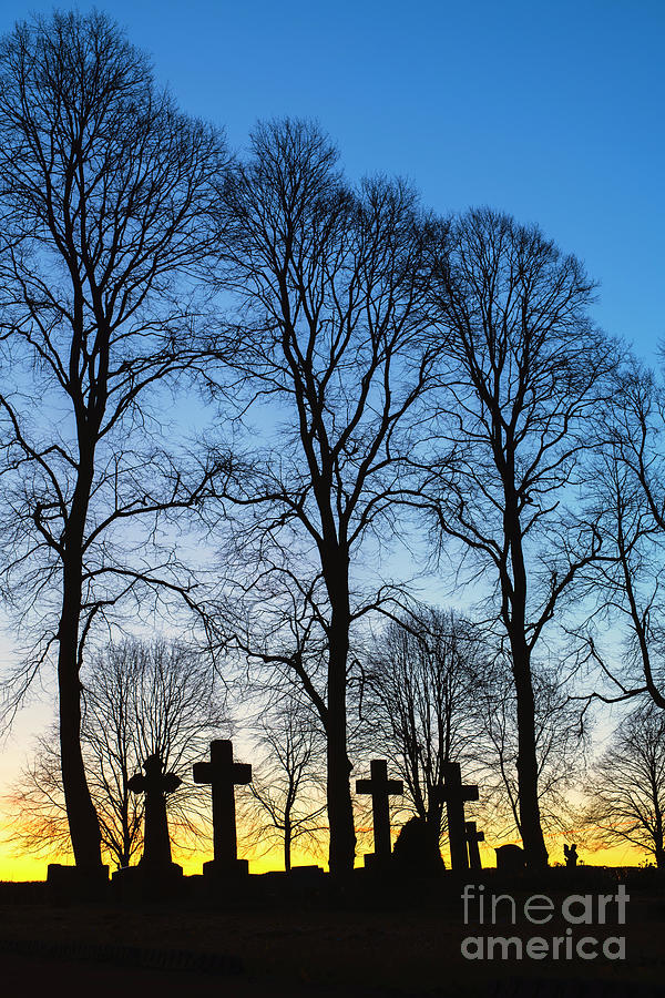 Crosses and Trees at Dawn  Photograph by Tim Gainey