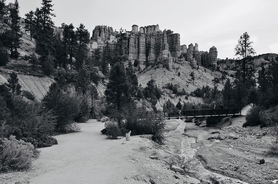 Crossing Bridges Photograph by Joe Burns | Fine Art America