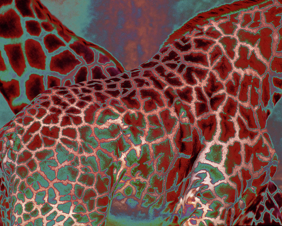 Crossing Giraffes Pyrography by Engle Meredith Crossing Giraffes Pyrography by Engle Meredith
