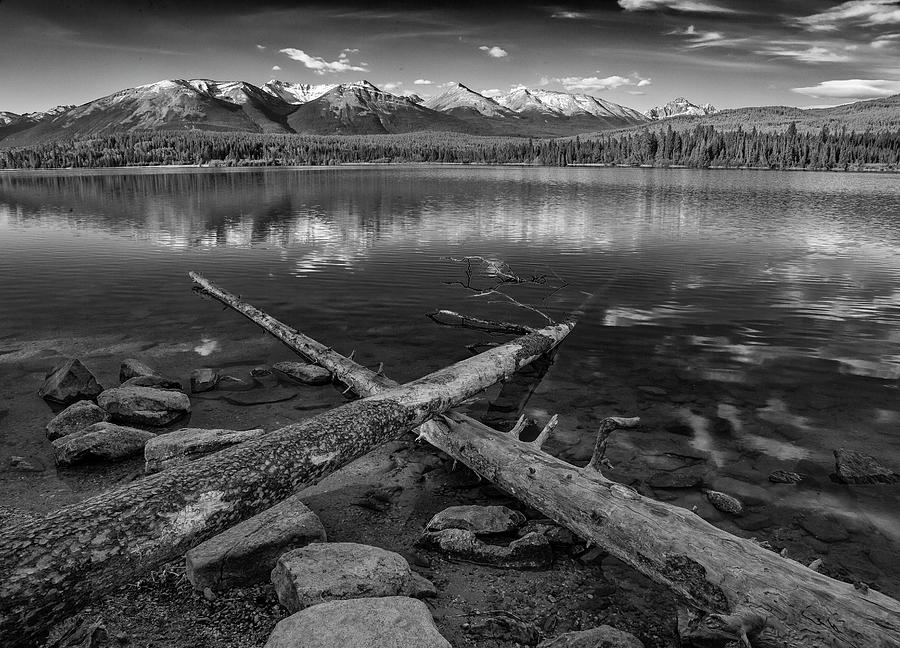 Crossing Logs by Ronald Santini Crossing Logs by Ronald Santini