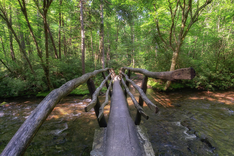 Crossing the Cataloochee Creek - Great Smoky Mountains  Photograph by Susan Rissi Tregoning