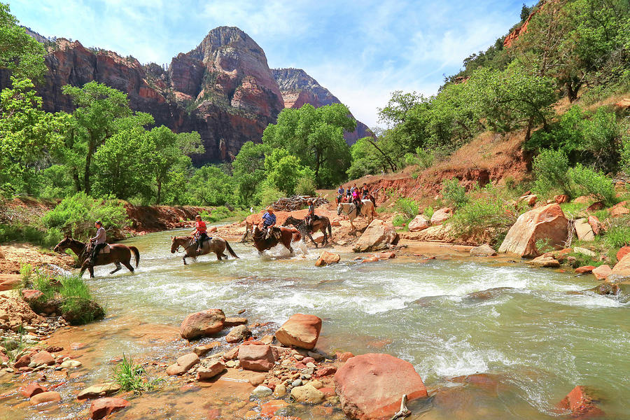 Zion National Park Photograph - Crossing the Virgin River In Zion by Donna Kennedy