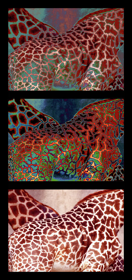 Crossing Trio Photograph by Engle Meredith Crossing Trio Photograph by Engle Meredith