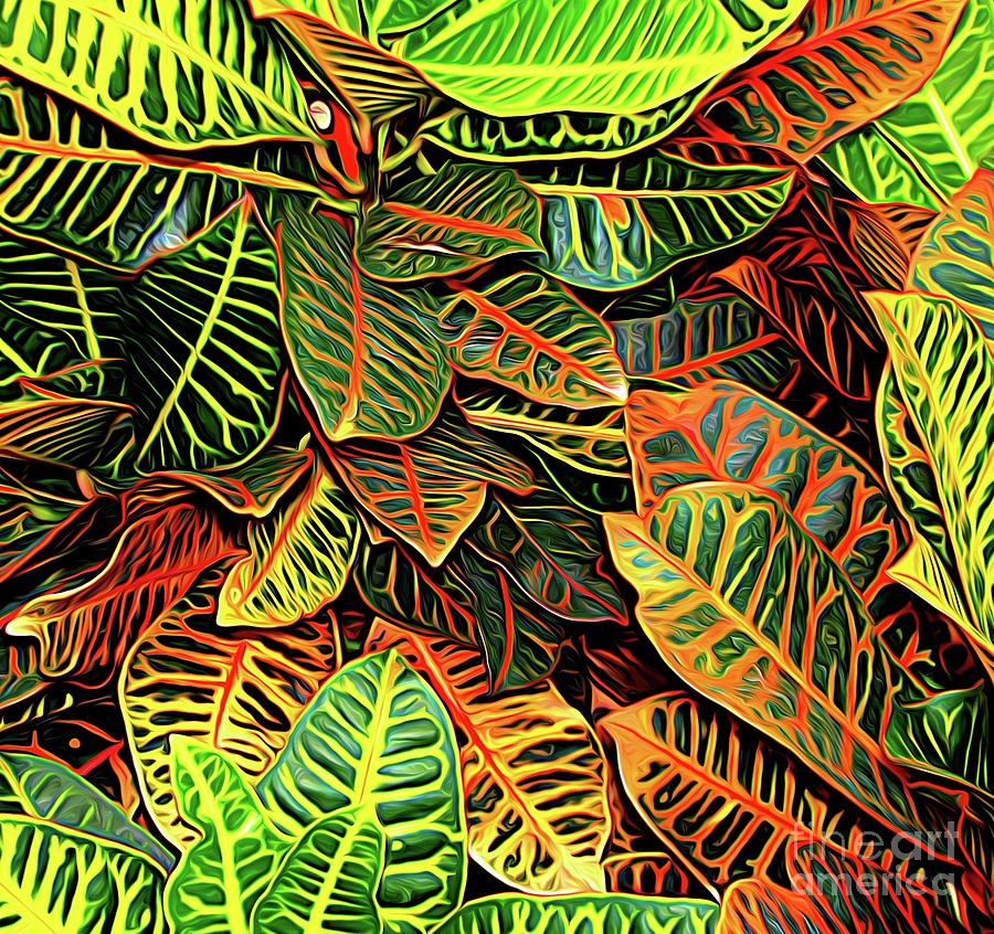 Croton Leaves Macro Abstract Expressionism Effect Photograph by Rose Santuci-Sofranko