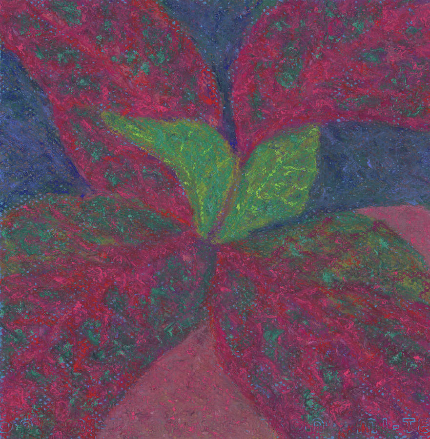 Crotons Closeup Pastel by Anne Katzeff