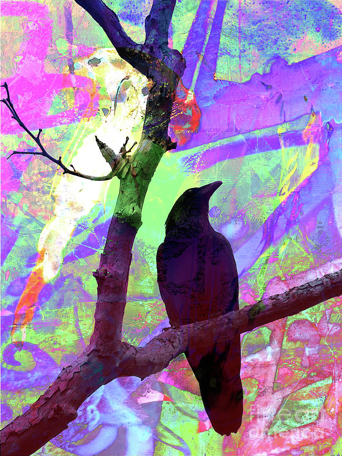 Crow Photograph - Crow Abstraction by Robert Ball