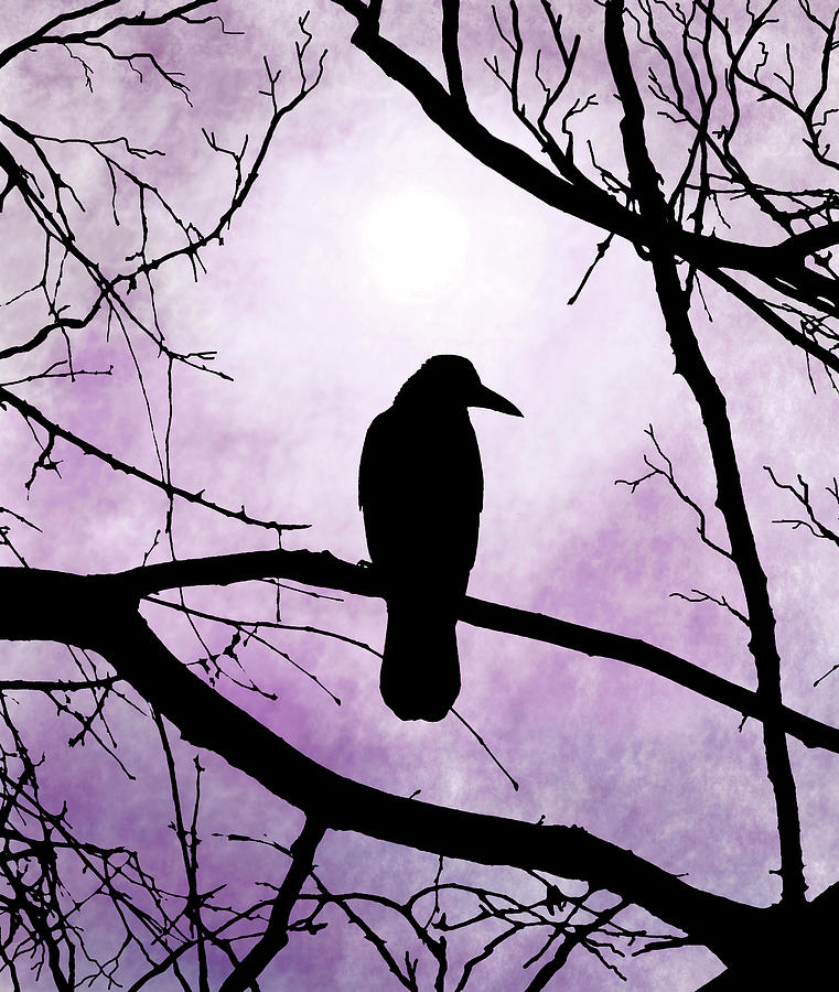Crow Bird 78 Purple Digital Art by Lucie Dumas