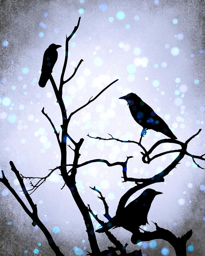Crow Birds on Tree Bird 94 Digital Art by Lucie Dumas