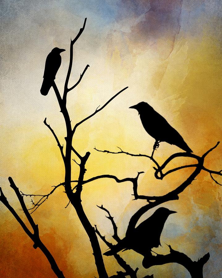 Crow Birds on Tree Bird 95 Digital Art by Lucie Dumas