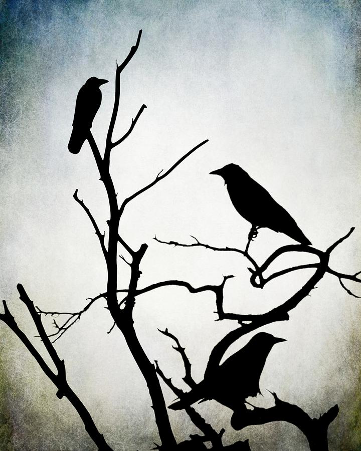 Crow Birds on Trees Bird 90 Digital Art by Lucie Dumas