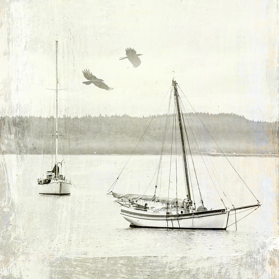 Boat Mixed Media - Crow Fly-By by Carol Leigh