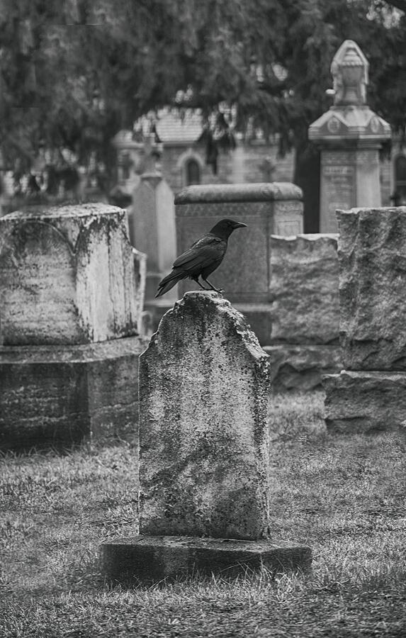 Crow Has A Graveyard Perch Photograph by Gothicrow Images - Fine Art ...