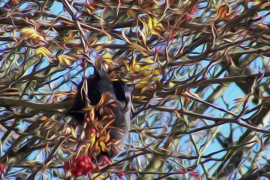 Crow in Tree Abstract by Yulia Kazansky Crow in Tree Abstract by Yulia Kazansky