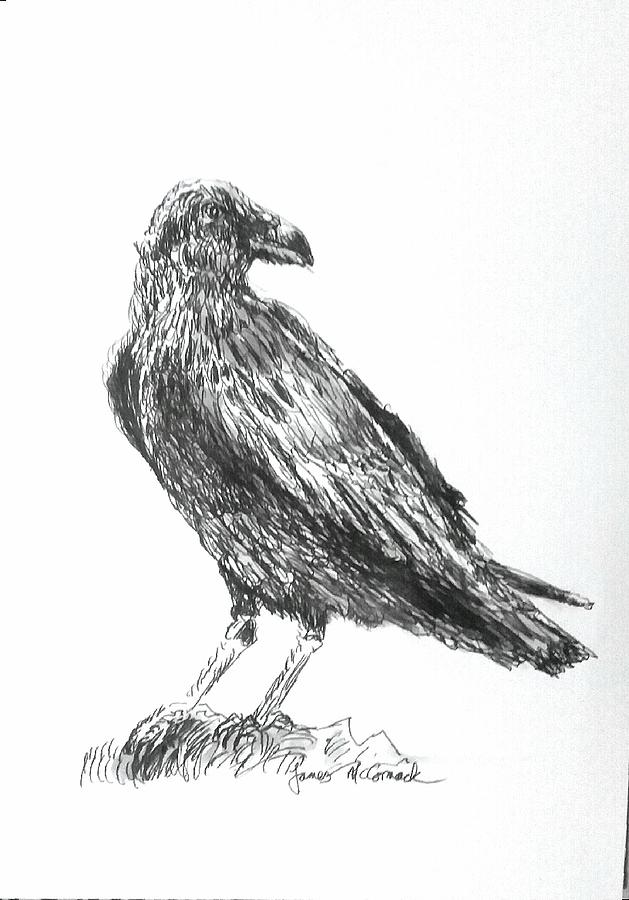 Crow Drawing by James McCormack