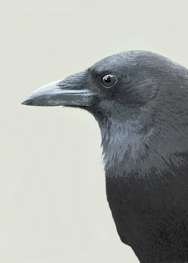 Crow Painting by Judy Cuddehe