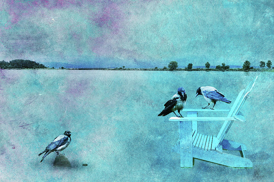 Crow Life Photograph by Randi Grace Nilsberg Crow Life Photograph by Randi Grace Nilsberg