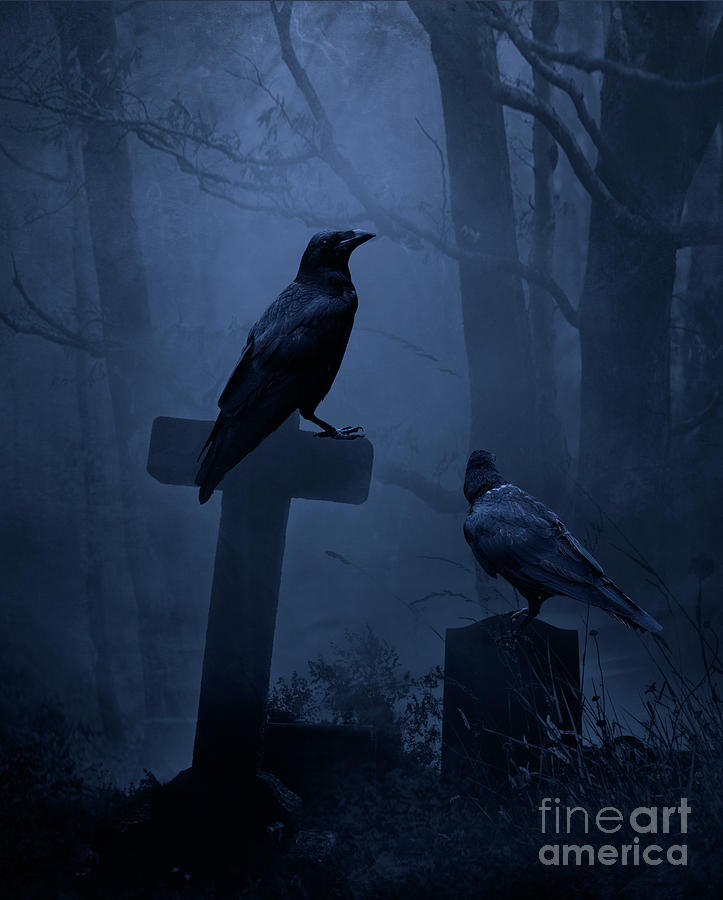 Crow Night Photograph by Jim Hatch