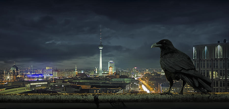 Crow overlooking cityscape, Berlin, Berlin, Germany Drawing by Chris Clor