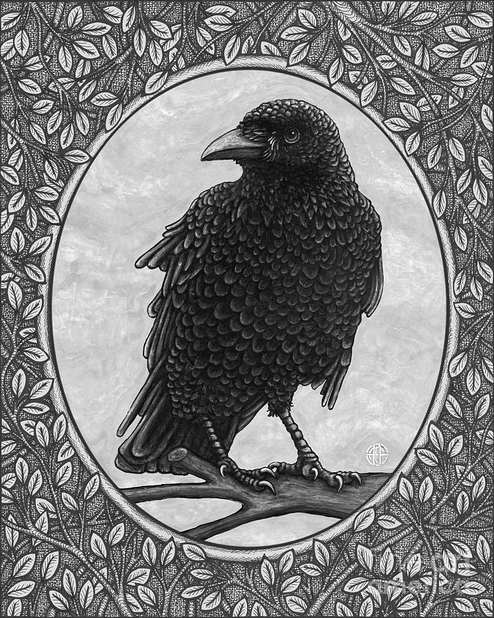Crow Portrait. Black And White Painting by Amy E Fraser