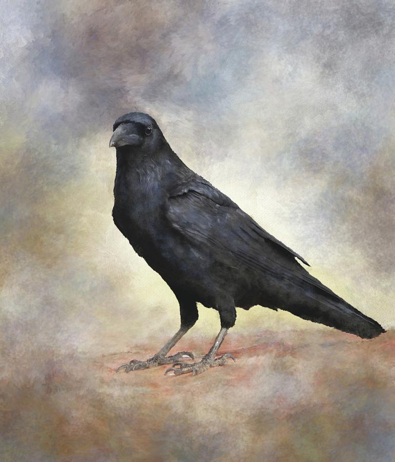 Crow Raven Bird 88 Mixed Media by Lucie Dumas
