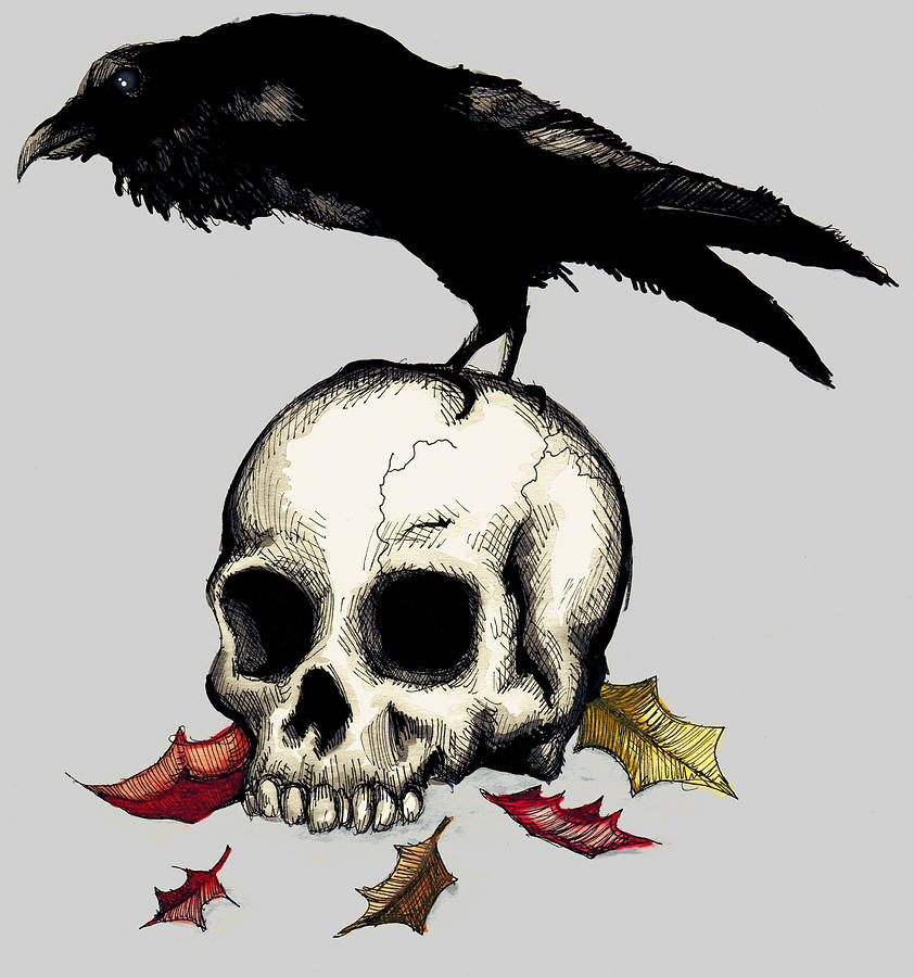 Crow Skull Drawing by Ludwig Van Bacon