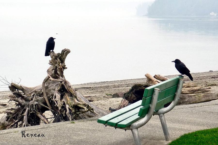 Crow Standoff Photograph by A L Sadie Reneau