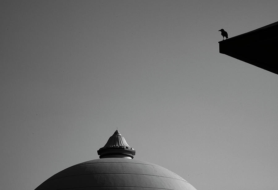 Crow vs Dome Photograph by Prakash Ghai