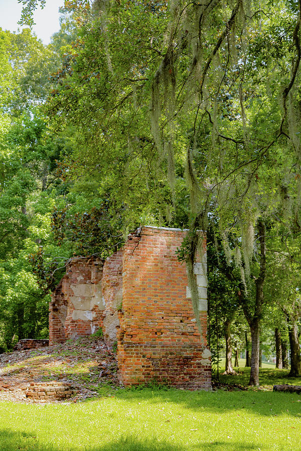Crowfield Plantation 19 Photograph by Cindy Robinson