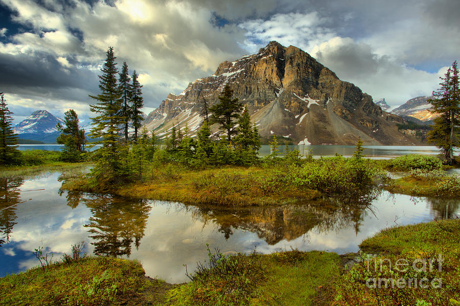Crowfoot Spring Reflections Photograph by Adam Jewell