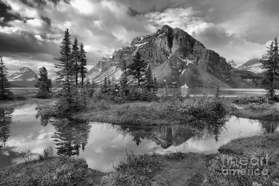 Crowfoot Spring Reflections Black And White Photograph by Adam Jewell