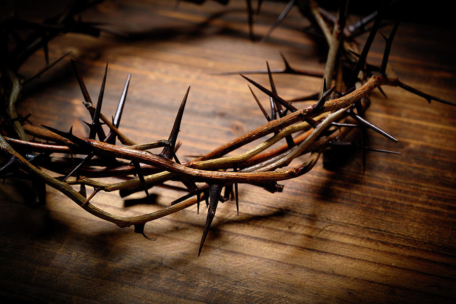 Crown of thorns on wood. Easter Photograph by Mike Flippo - Fine Art ...