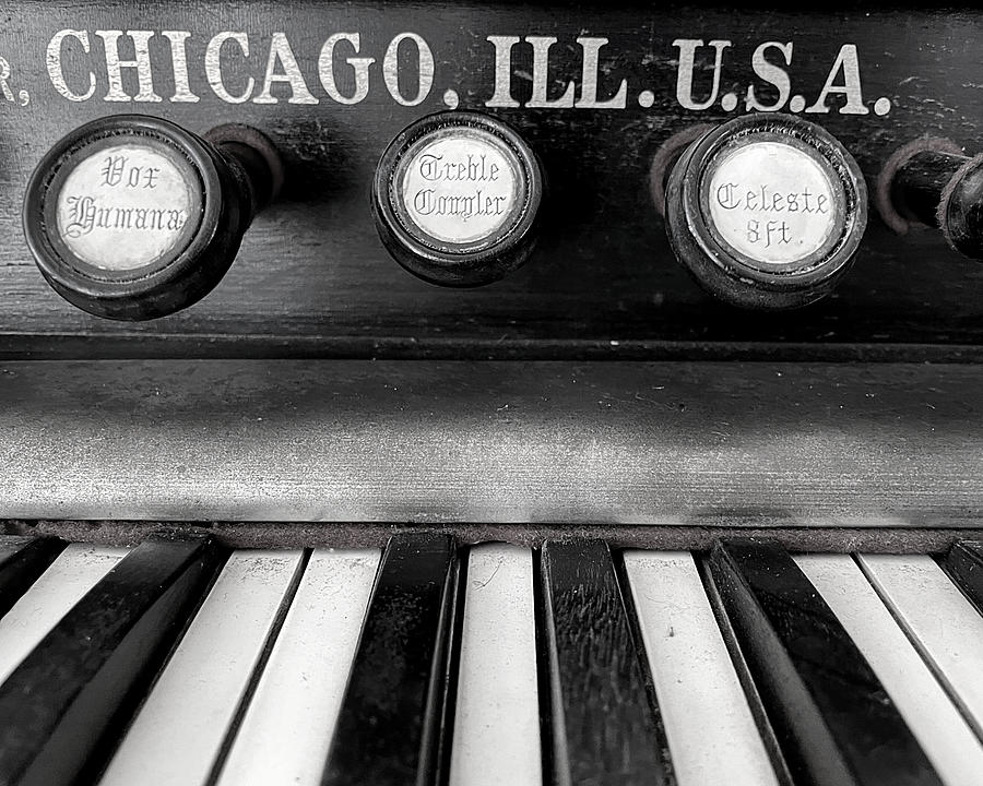 Crown Organ BW2 Photograph by Lee Darnell