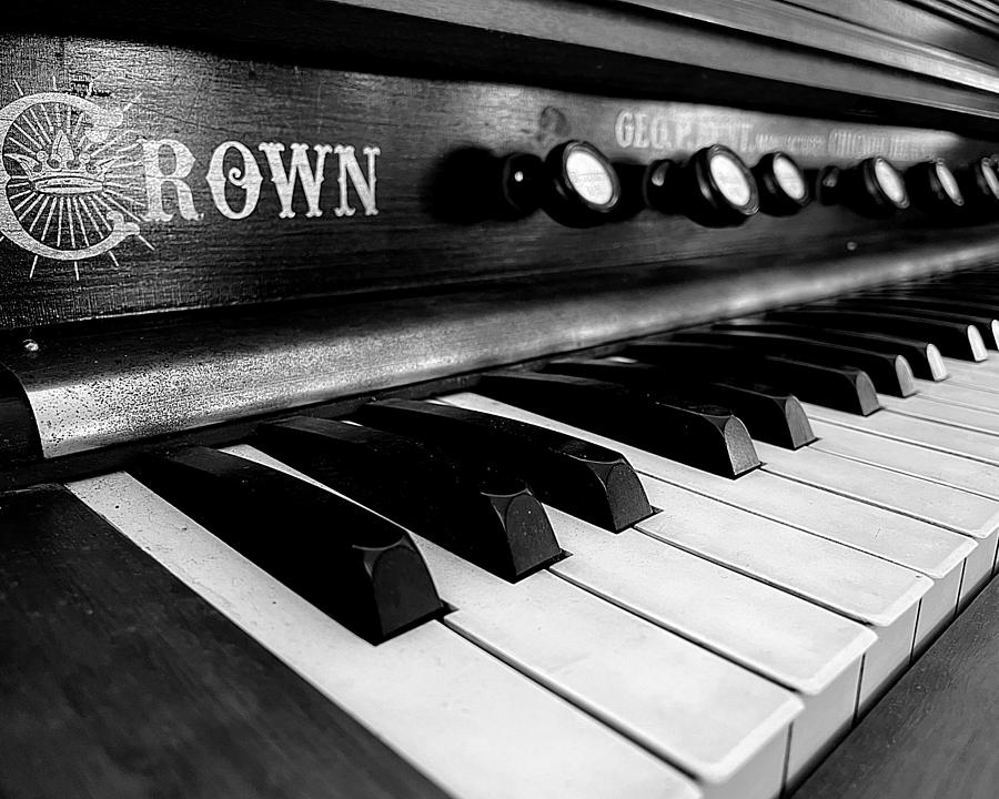 Crown Organ BW4 Photograph by Lee Darnell