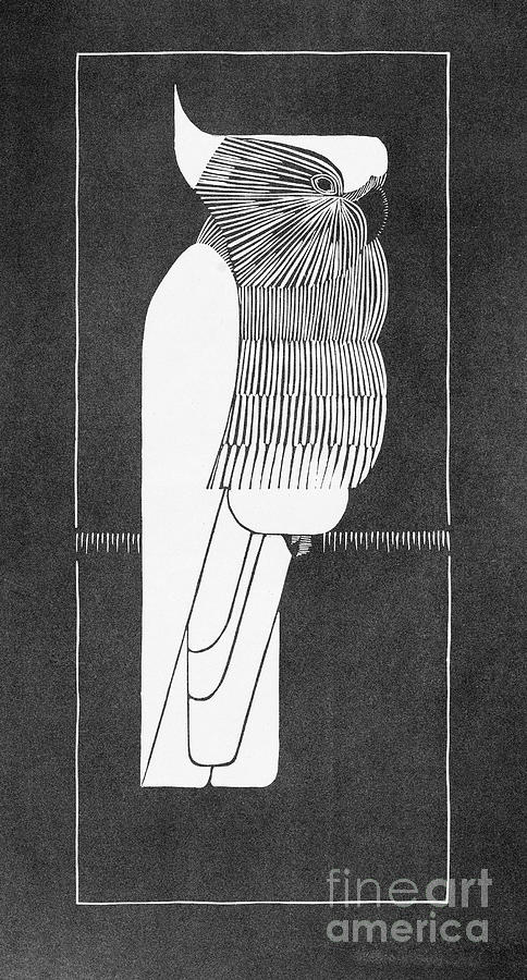 Crowned Cockatoo, 1924 Drawing by Samuel Jessurun de Mesquita