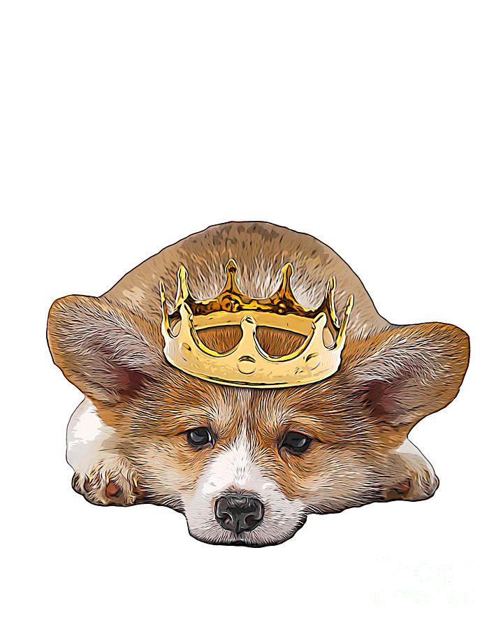 Queen Digital Art - Crowned corgi puppy by Madame Memento