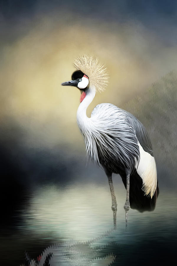 Crowned Crane Mixed Media by Ed Taylor