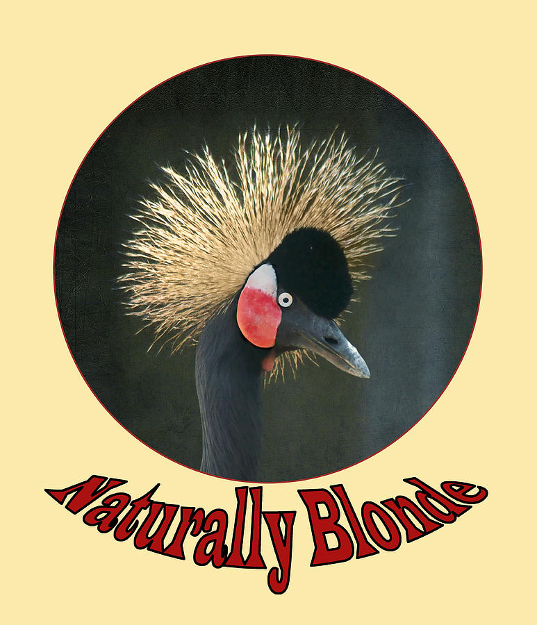Crowned Crane - Naturally Blonde - Transparent Photograph by Nikolyn McDonald