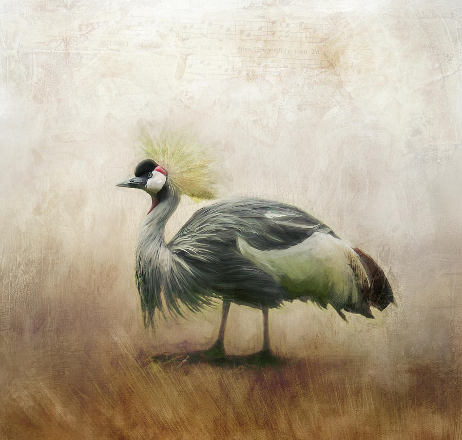 Crowned Crane Digital Art by Terry Davis