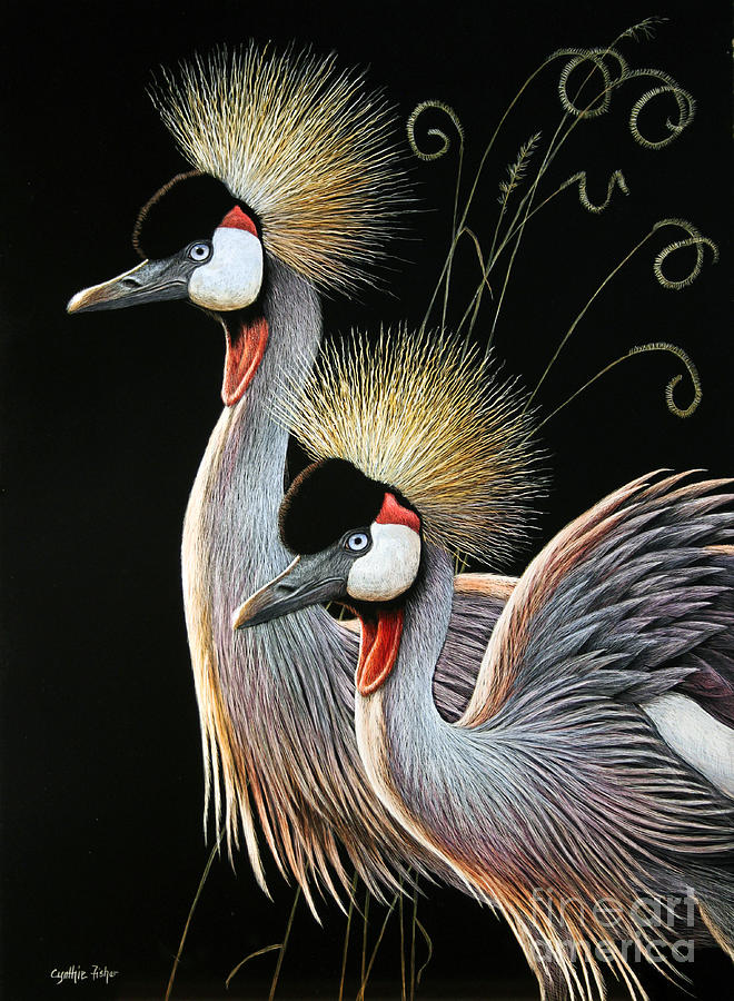 Crowned Cranes Drawing by Cynthie Fisher