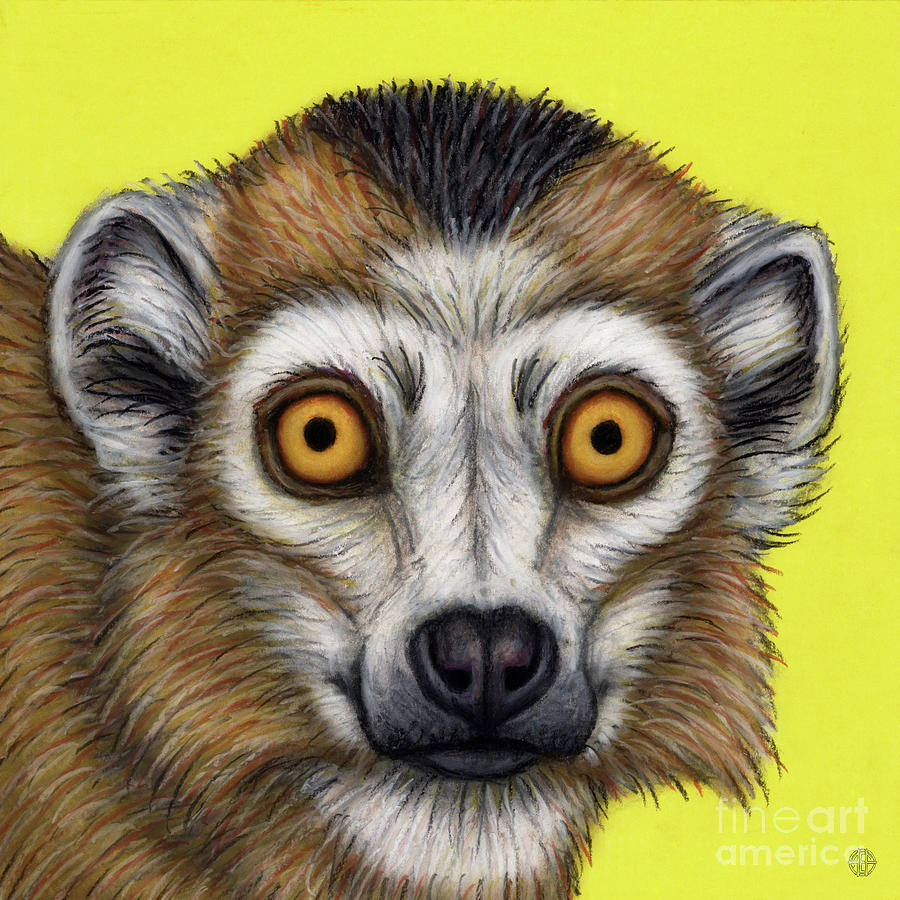 Crowned Lemur King Painting by Amy E Fraser