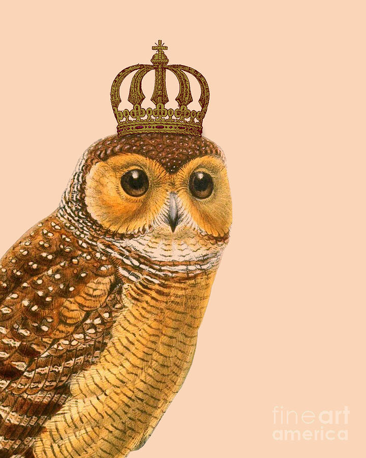 Owl Digital Art - Crowned Owl Portrait by Madame Memento