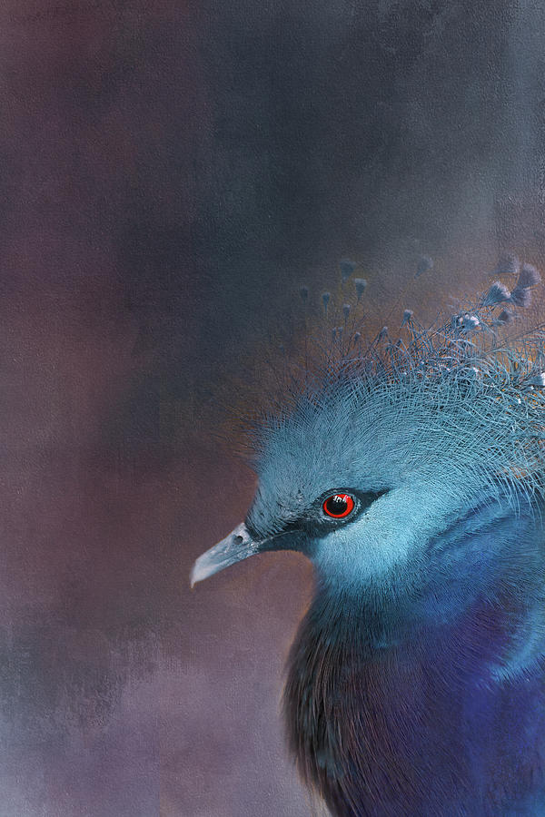 Crowned Pigeon on Texture Digital Art by Terry Davis
