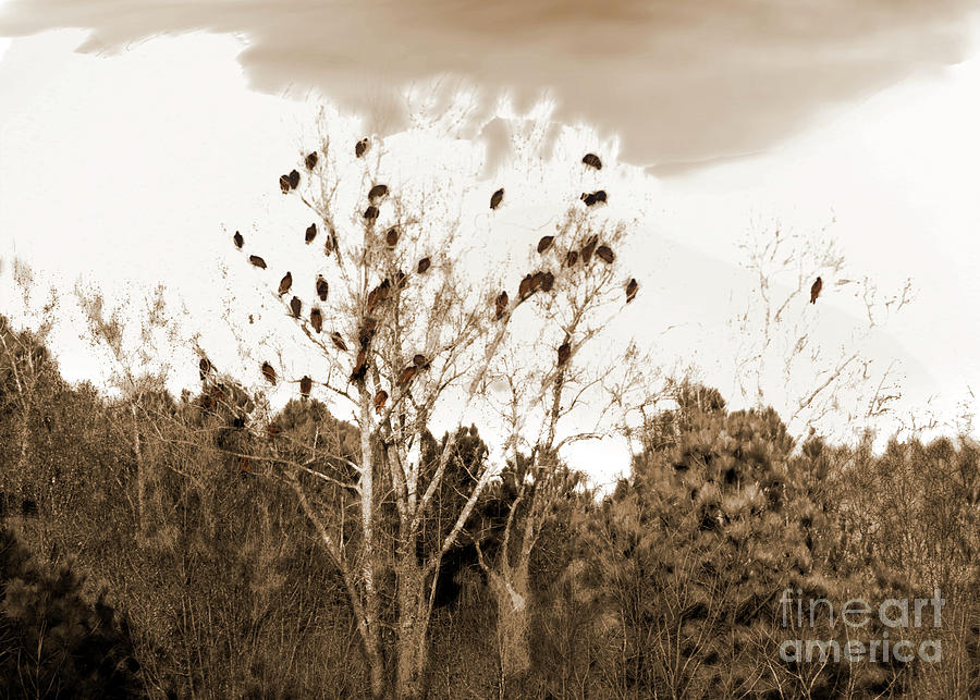 Crows - Monochrome Digital Art by Anthony Ellis