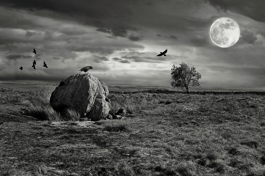 Crows - Moon - Standing Stone Photograph by Philip Openshaw