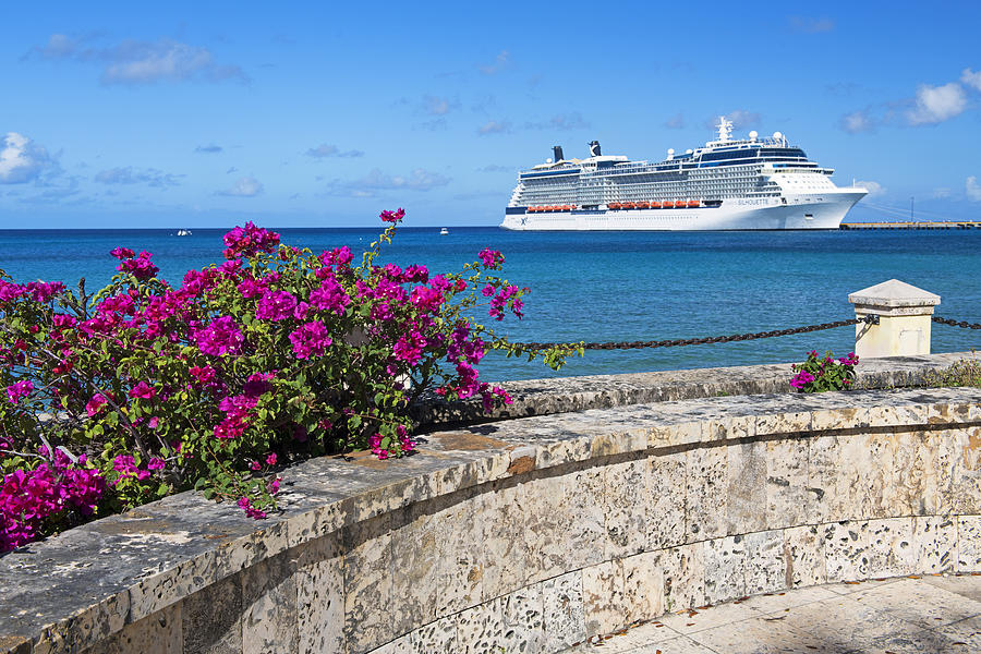 Cruise Ship and Blooming Bougainvillea, St. Croix Photograph by Majaiva
