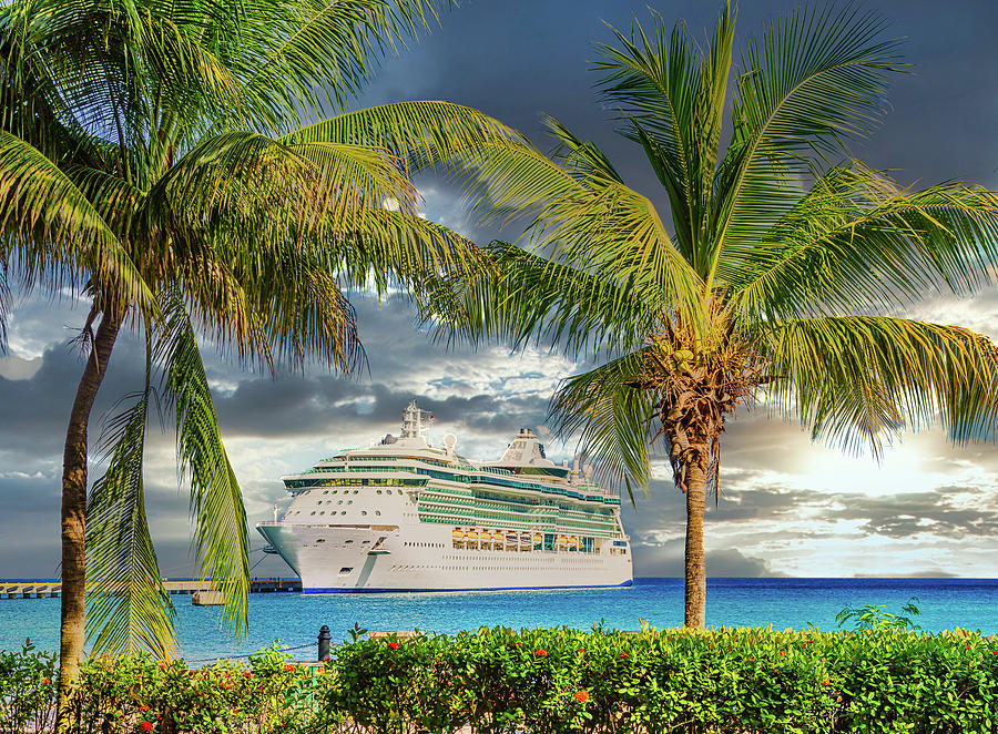 Cruise Ship Between Palm Trees at Sunset Photograph by Darryl Brooks