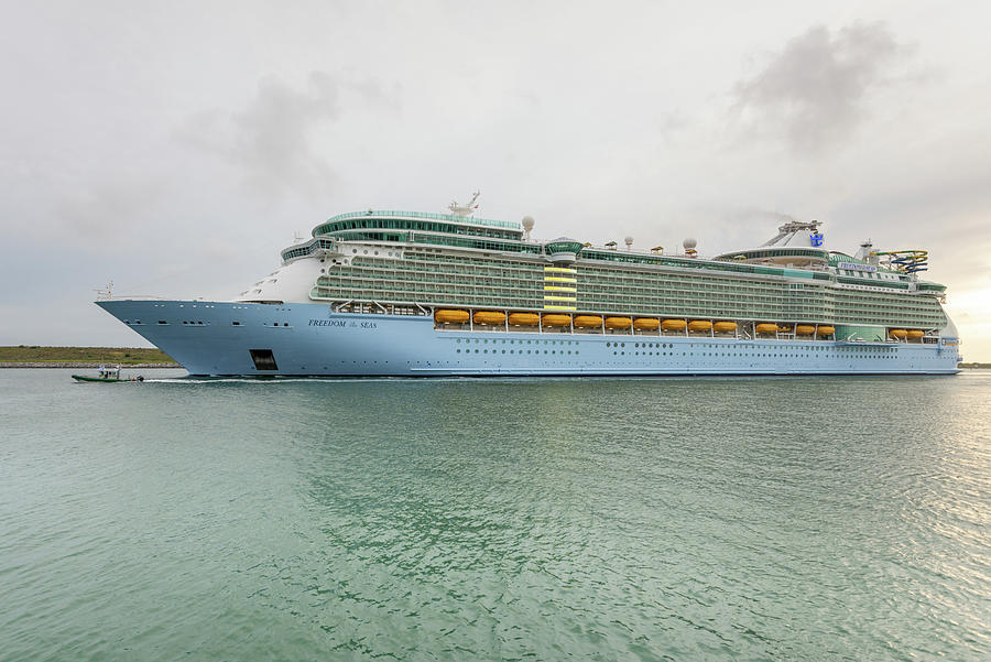 Cruise ship Freedom of the Seas Arrival Photograph by Bradford Martin