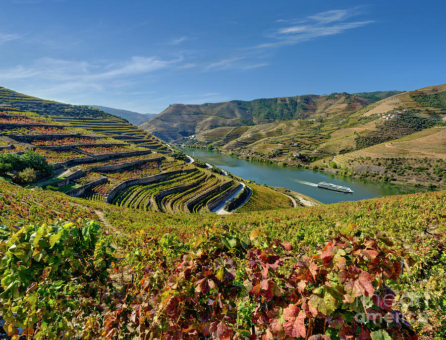 cruise ship on the Douro Valley, Portugal Photograph by Mikehoward Photography