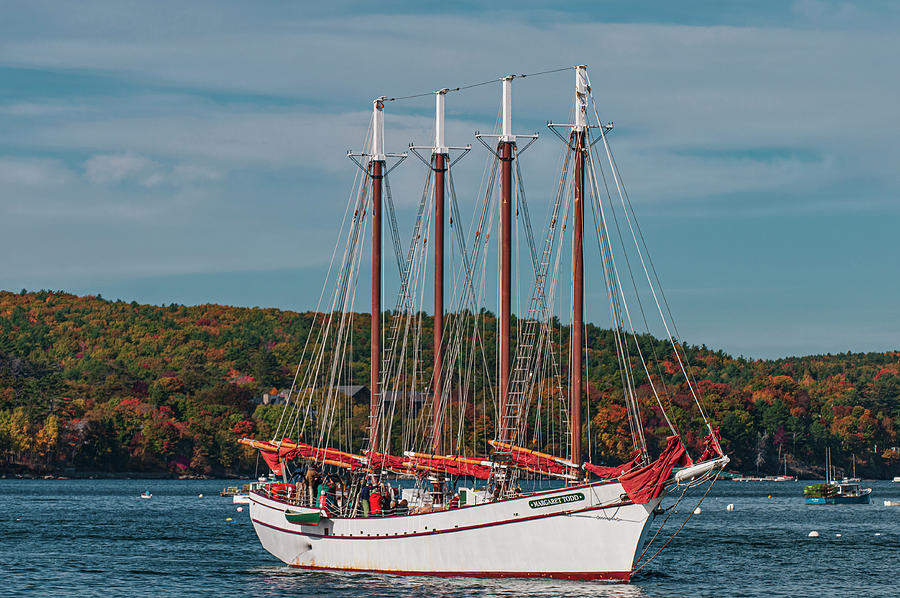 Cruising Frenchmans Bay Photograph by Paul Mangold